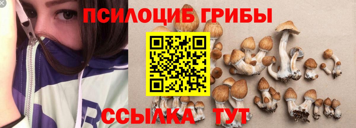 Галлюциногенные грибы Magic Shrooms  Вход с VPN  Южноуральск 