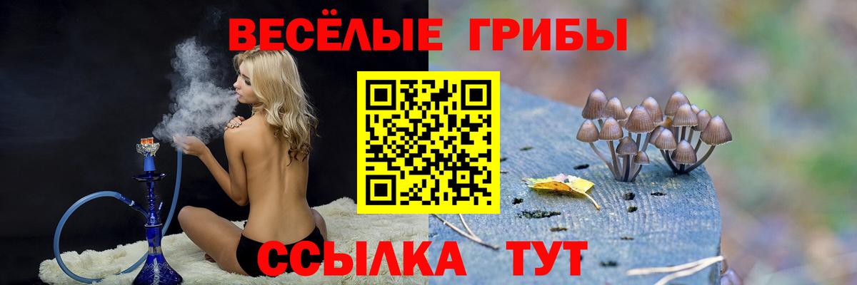 Псилоцибиновые грибы мухоморы Южноуральск